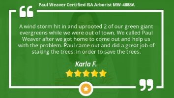 Paul Weaver | The Tree Health Expert Kansas City | 913-233-8733