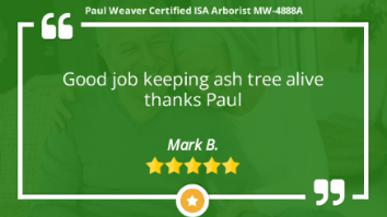 Paul Weaver | The Tree Health Expert Kansas City | 913-233-8733