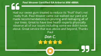 Paul Weaver | The Tree Health Expert Kansas City | 913-233-8733