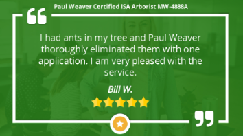 Paul Weaver | The Tree Health Expert Kansas City | 913-233-8733