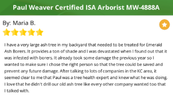 Paul Weaver | The Tree Health Expert Kansas City | 913-233-8733
