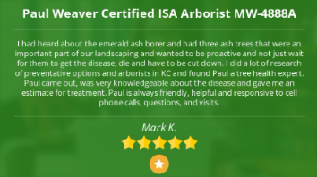 Paul Weaver | The Tree Health Expert Kansas City | 913-233-8733