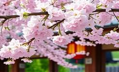 tree health experts | kansas city | paul weaver | 9139338733
