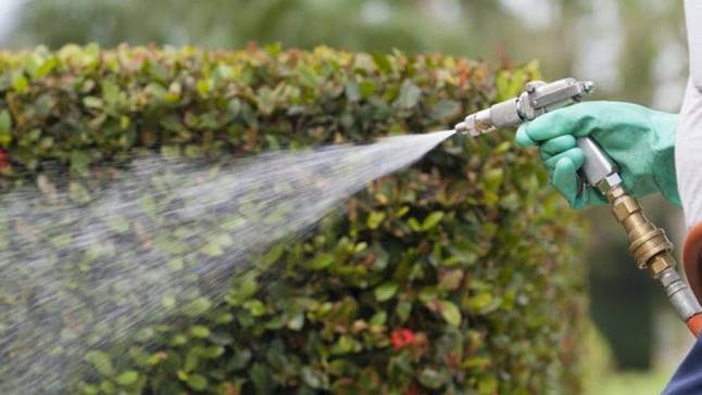 tree health experts | kansas city | paul weaver | 9139338733